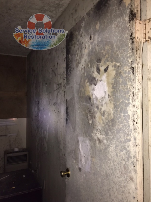 mold remediation done in a san diego home featuring a door covered in mold